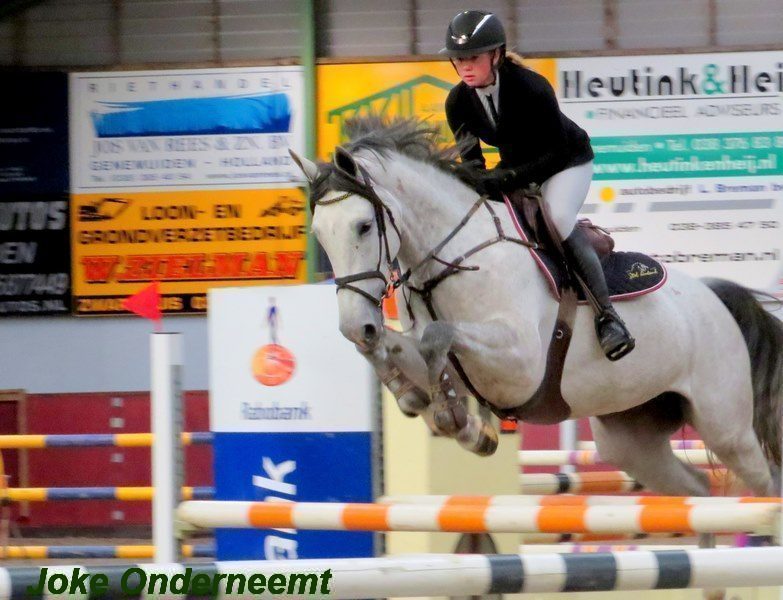 Kringkampioenschappen op de manege de Zwartewaterruiters. ( foto’s van de ochtend)