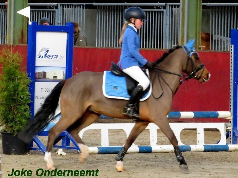 Kringkampioenschappen op de manege de Zwartewaterruiters. ( foto’s van de middag)