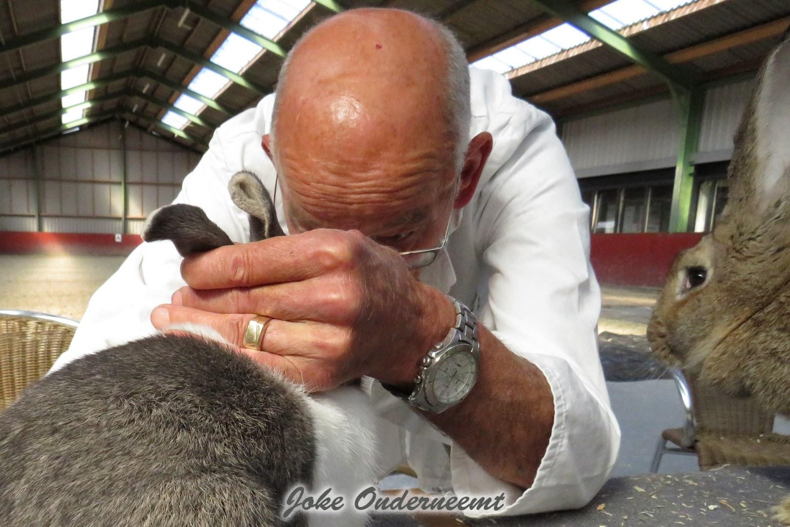 Keuring klein dieren in de manege ….