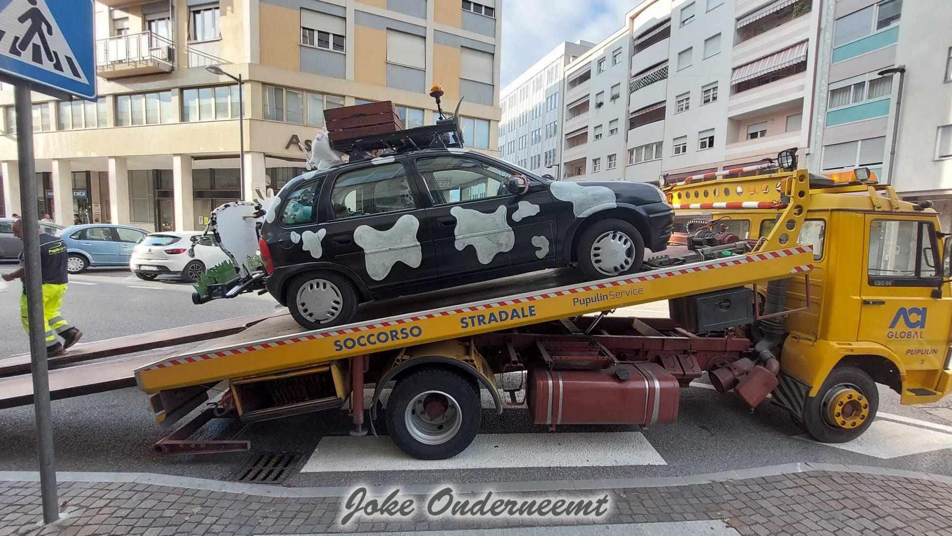 Stoere “koeienlady’s nemen afscheid van “hun koetje”