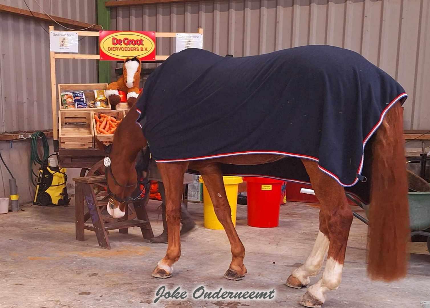 Gratis snackbar voor de wedstrijd paarden van De Groot Diervoeders uit ‘s-Heerenbroek