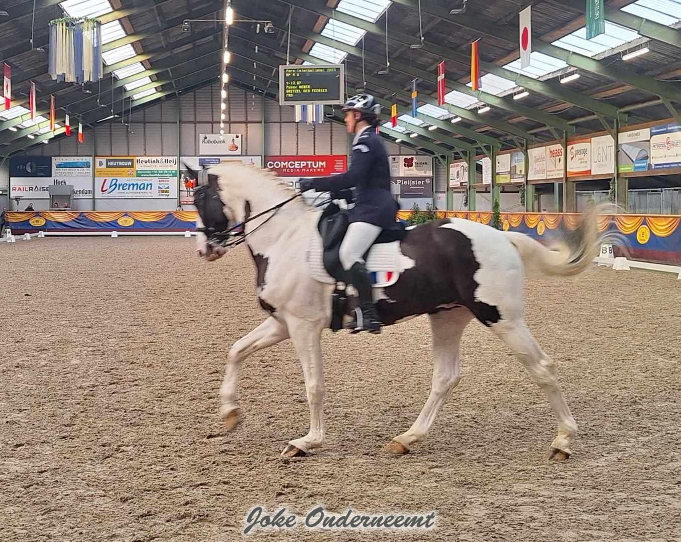 En de wedstrijden zijn begonnen op de manege ( met video)