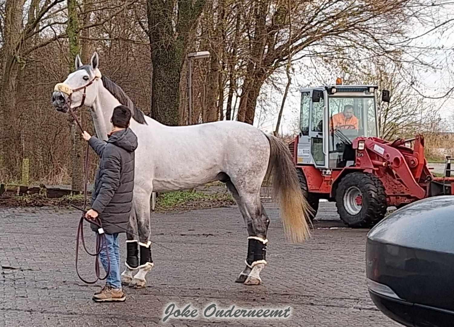 En ook Ierland is aangekomen en vanavond Finland ( met filmpje en foto’s)