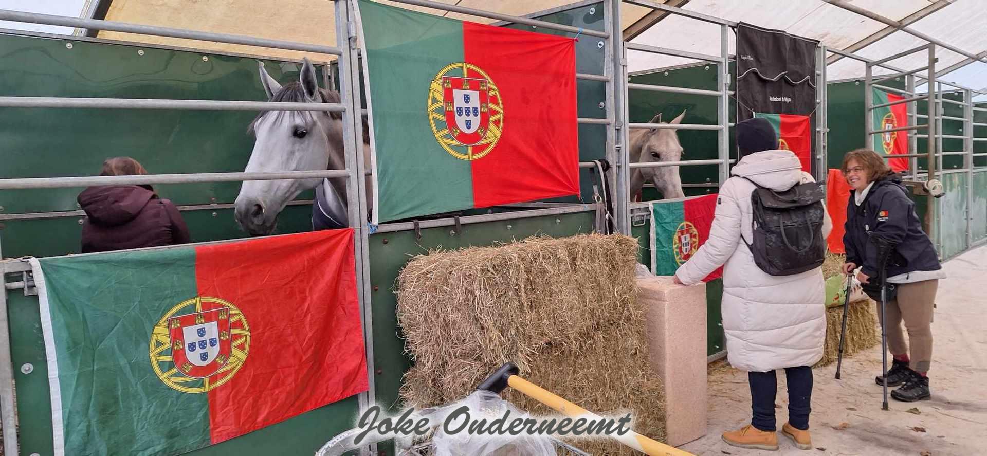 Portugal & Zwitserland en 1 uit Canada zijn gearriveerd op de manege van Zwartewaterruiters