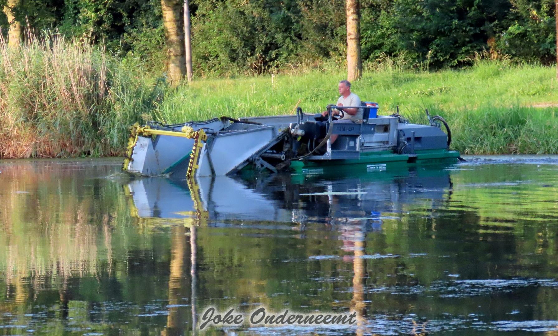 Grote schoonmaak in de Bergingsvijver