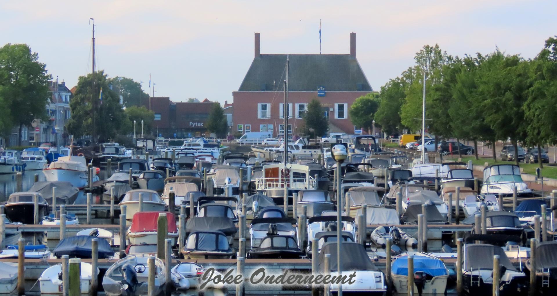 Gezellig vol in de haven