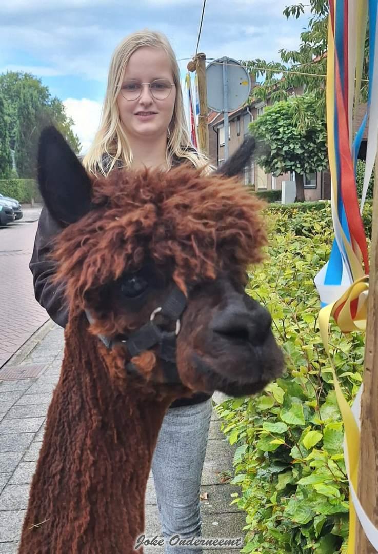 Met Brownie op pad, door 750 jaar stad