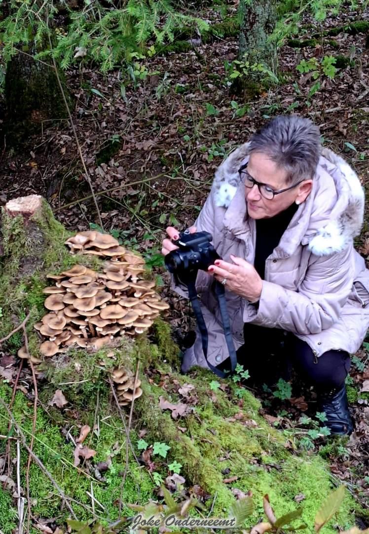Heerlijk het bos in…
