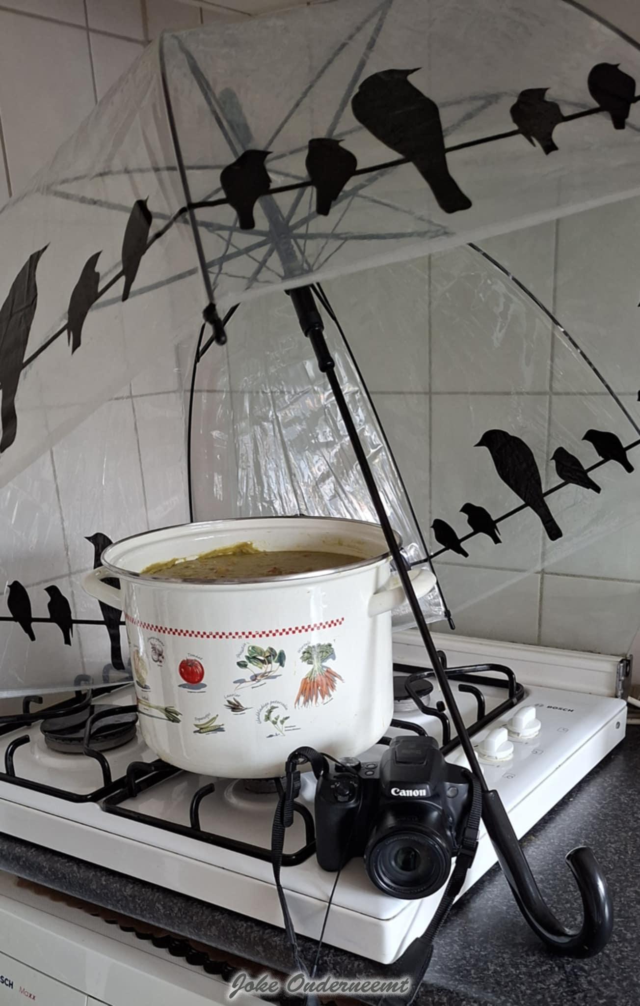 Paraplu – snert – camera… Ik ben klaar voor de Biestemerk 2025