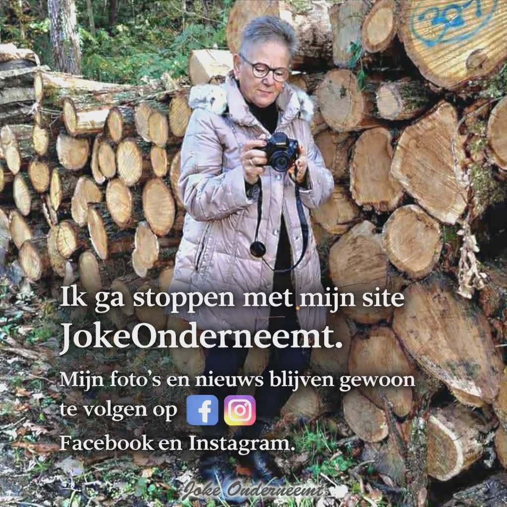 Ik ga stoppen met mijn site JokeOnderneemt